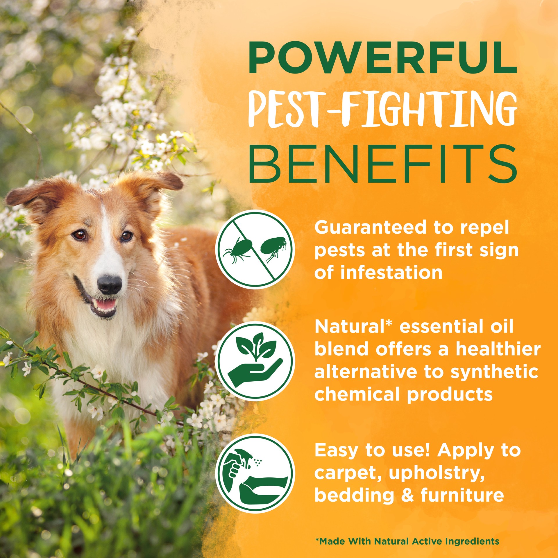 slide 3 of 10, TropiClean Natural* Flea & Tick Home Spray, 32oz, 32 oz