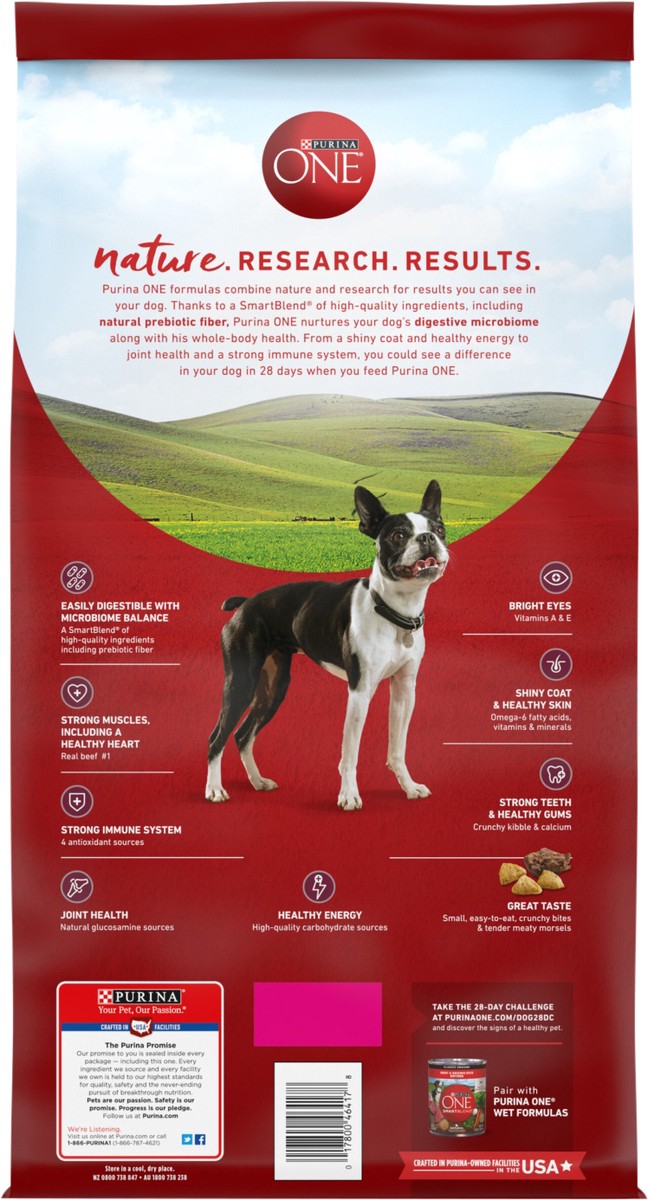 slide 2 of 9, ONE Purina ONE Small Bites Beef and Rice Formula Small High Protein Dry Dog Food Natural With Added Vitamins, Minerals and Nutrients, 8 lb