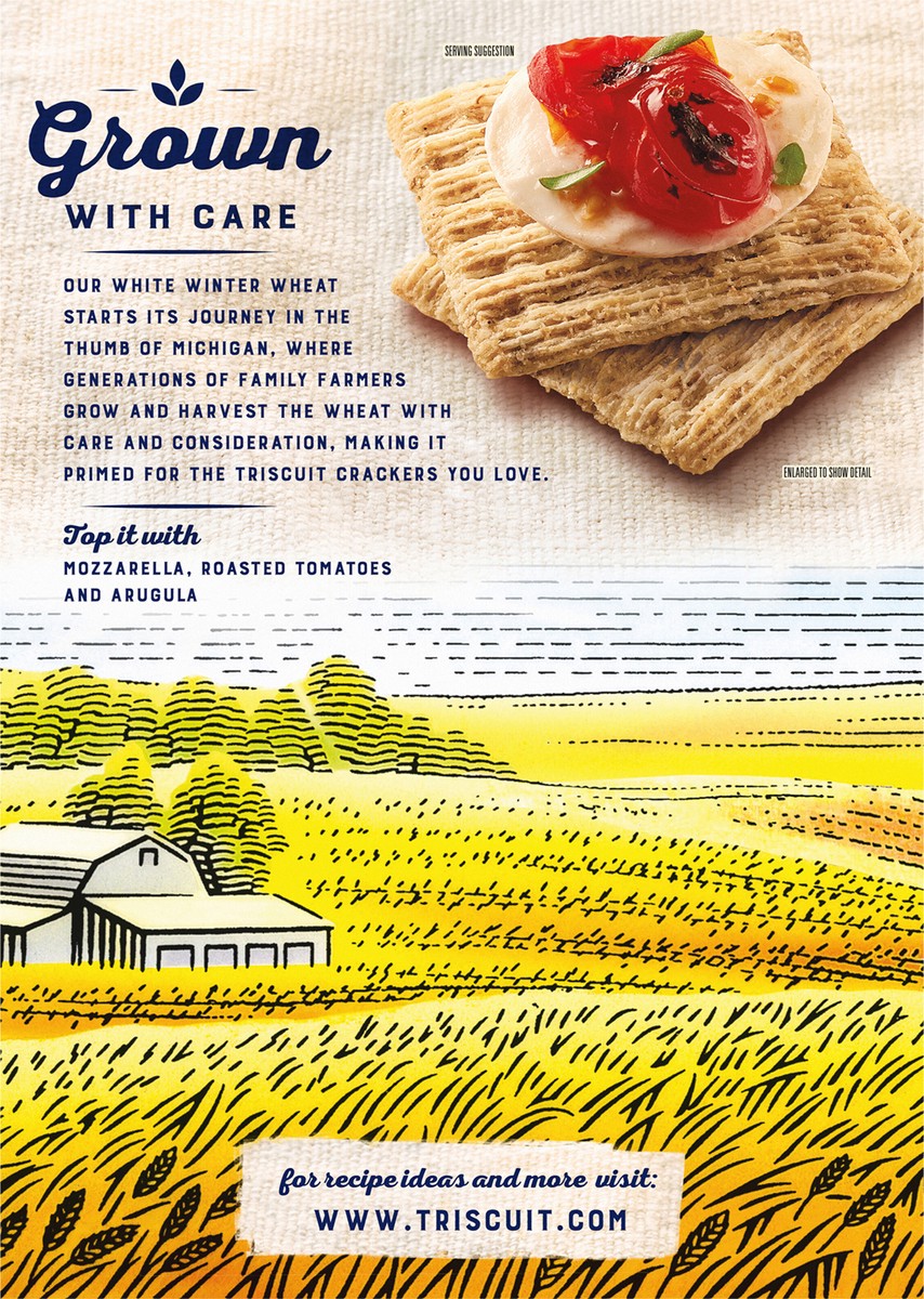 slide 7 of 9, Triscuit Rosemary & Olive Oil Whole Grain Wheat Crackers, Lunch Snacks, Snack Crackers, Family Size, 12.5 oz, 12.5 oz