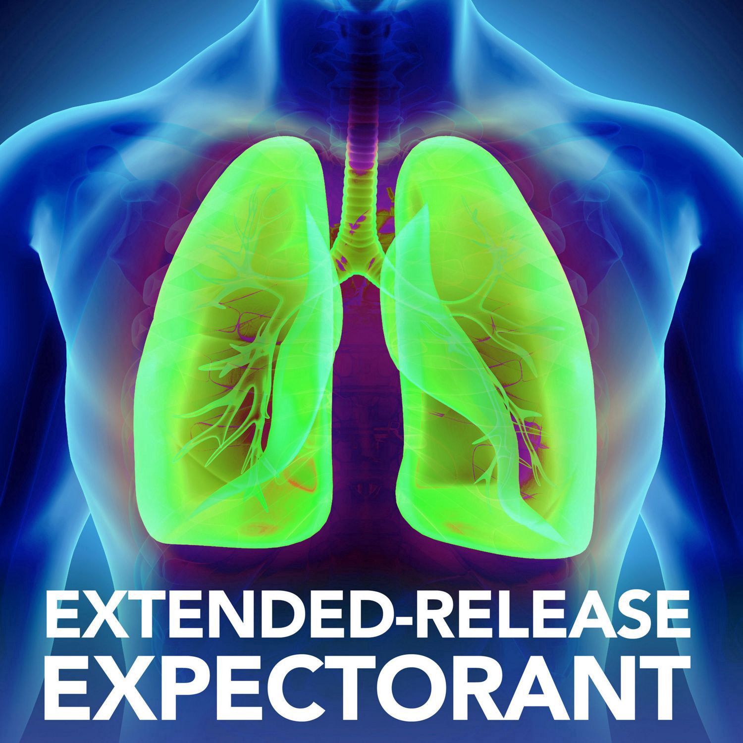 slide 6 of 7, CVS HEALTH Cvs Mucus Extended Release Guaifenesin 1200mg, 14 ct