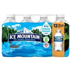 ICE MOUNTAIN Brand 100% Natural Spring Water, (Pack of 12) - 12 oz