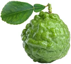 Makrut Limes