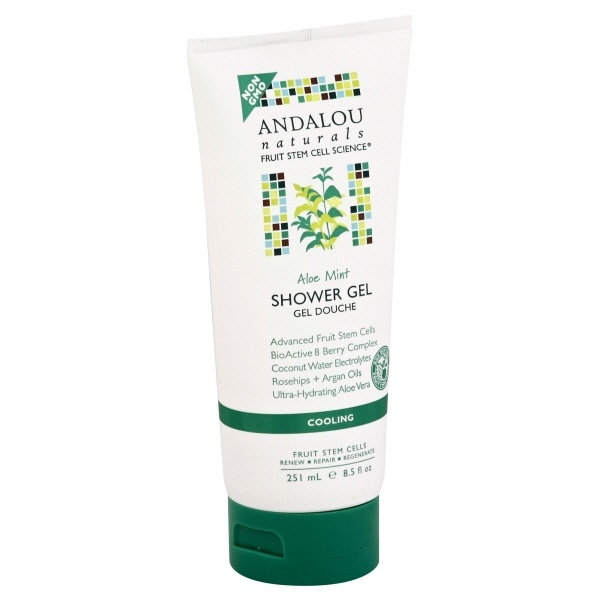 slide 1 of 3, Andalou Naturals Aloe Mint Shower Gel, 8.5 oz