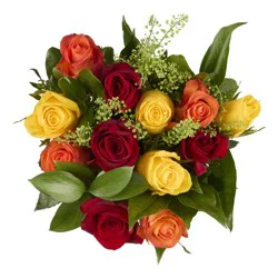 Nob Hill Trading Co. Dozen Rainbow Rose Bouquet - 1 Each