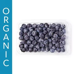 Blueberries Organic - 11 Oz