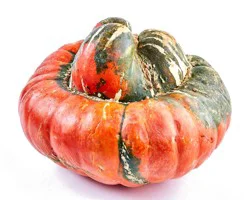 Fresh Turban Squash