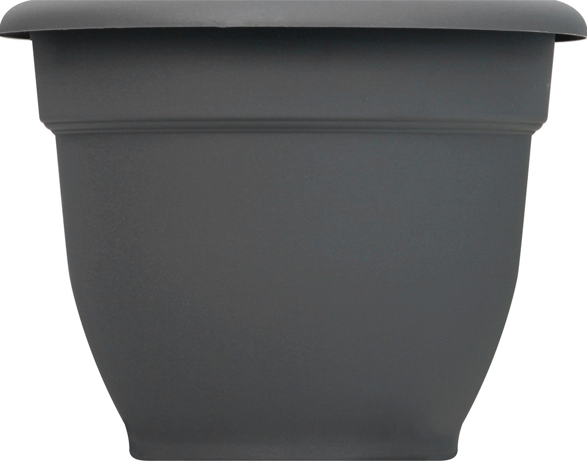 slide 2 of 9, Bloem Ariana Charcoal Planter 6In, 1 ct