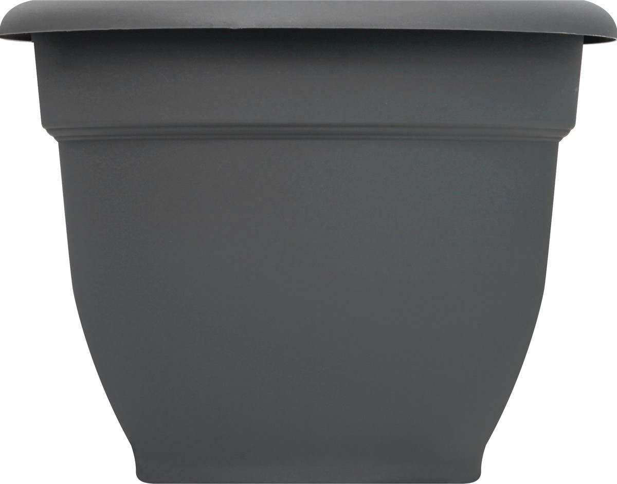 slide 5 of 9, Bloem Ariana Charcoal Planter 6In, 1 ct