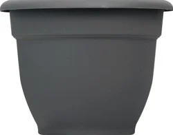 Bloem Ariana Charcoal Planter 6In