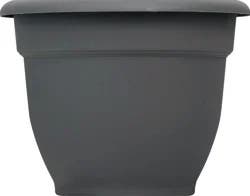 Bloem Ariana Charcoal Planter 6In