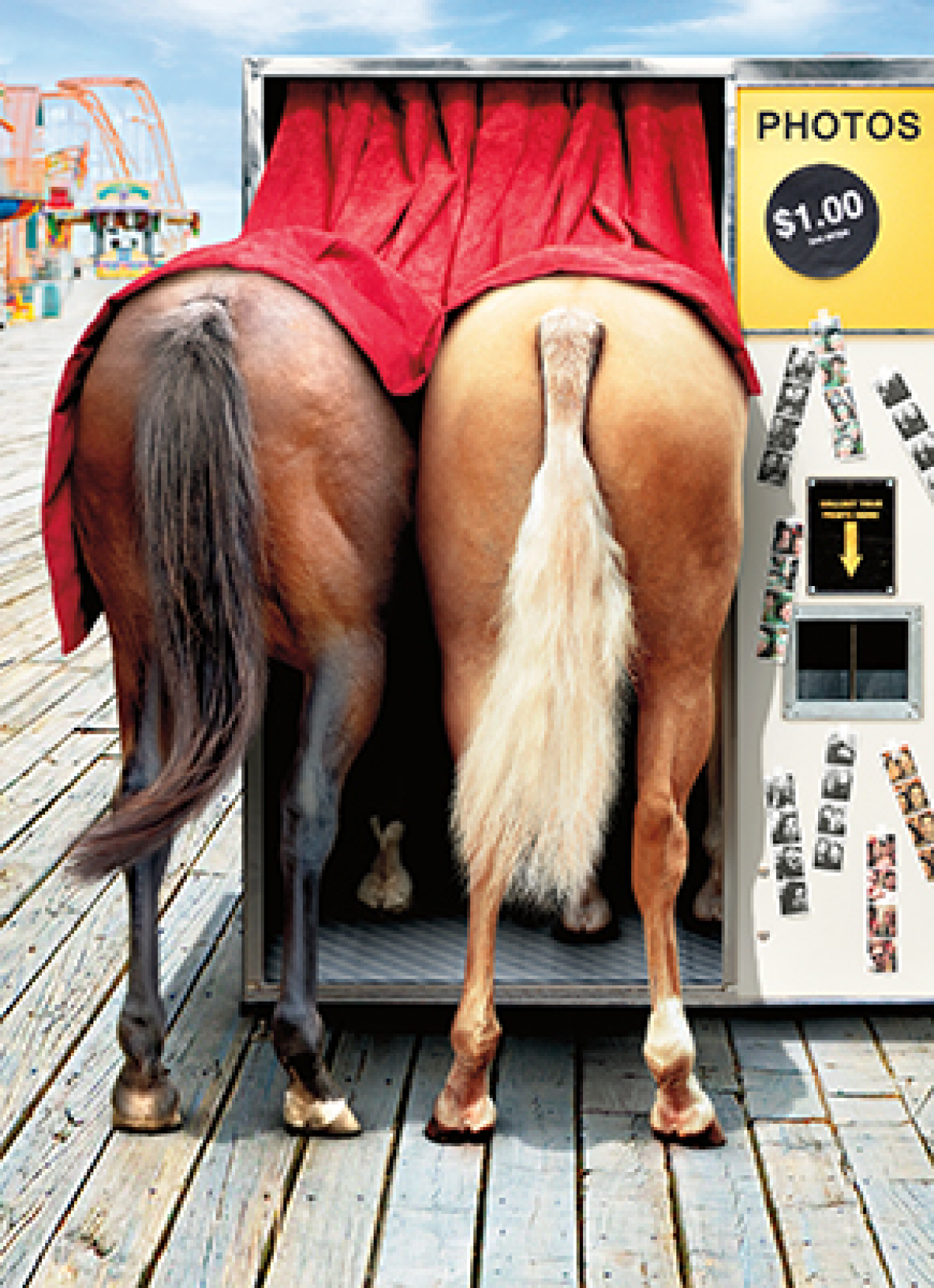 slide 1 of 1, Avanti Card Birthday Horses In Photo Booth, 1 ct