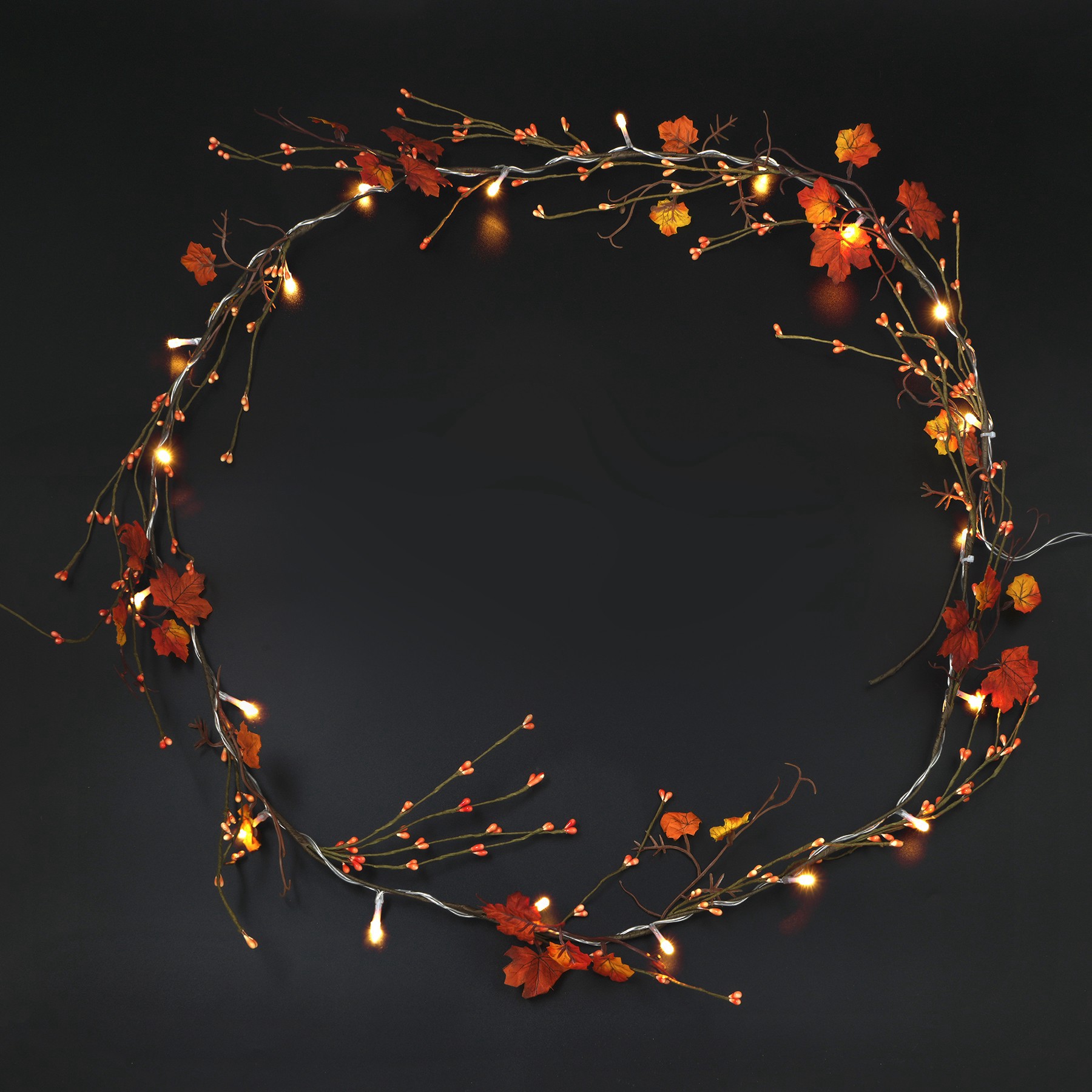 slide 2 of 2, 20ct. Led Warm White Led Red Leaf Garland String Lights By Ashland, 20 ct