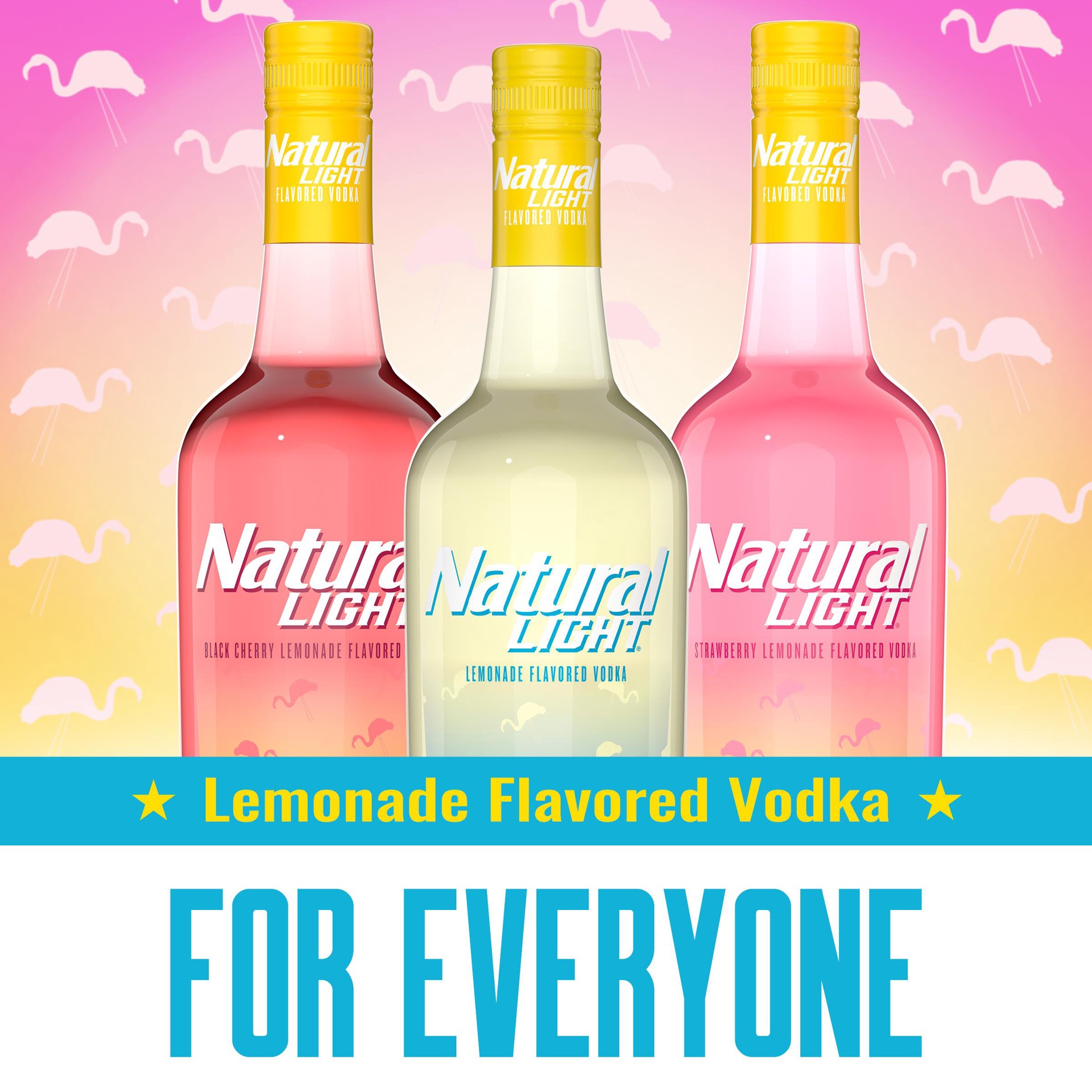 slide 2 of 7, Natural Light Vodka, Lemonade Flavored Vodka, 50 mL Bottle, 50 ml