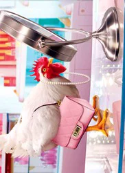 Avanti Birthday Chicken Makeup Mirror Card