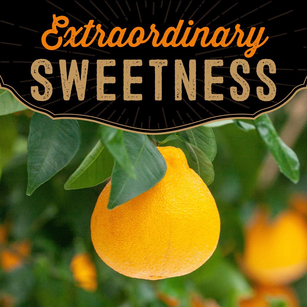 slide 3 of 5, Private Selection Ultra Sweet Dekopon Mandarins, 2 lb