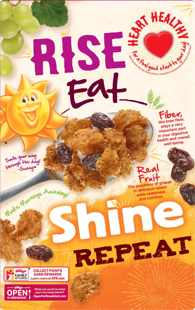 slide 9 of 10, Raisin Bran Breakfast Cereal Original Excellent Source of Fiber, 13.7 oz