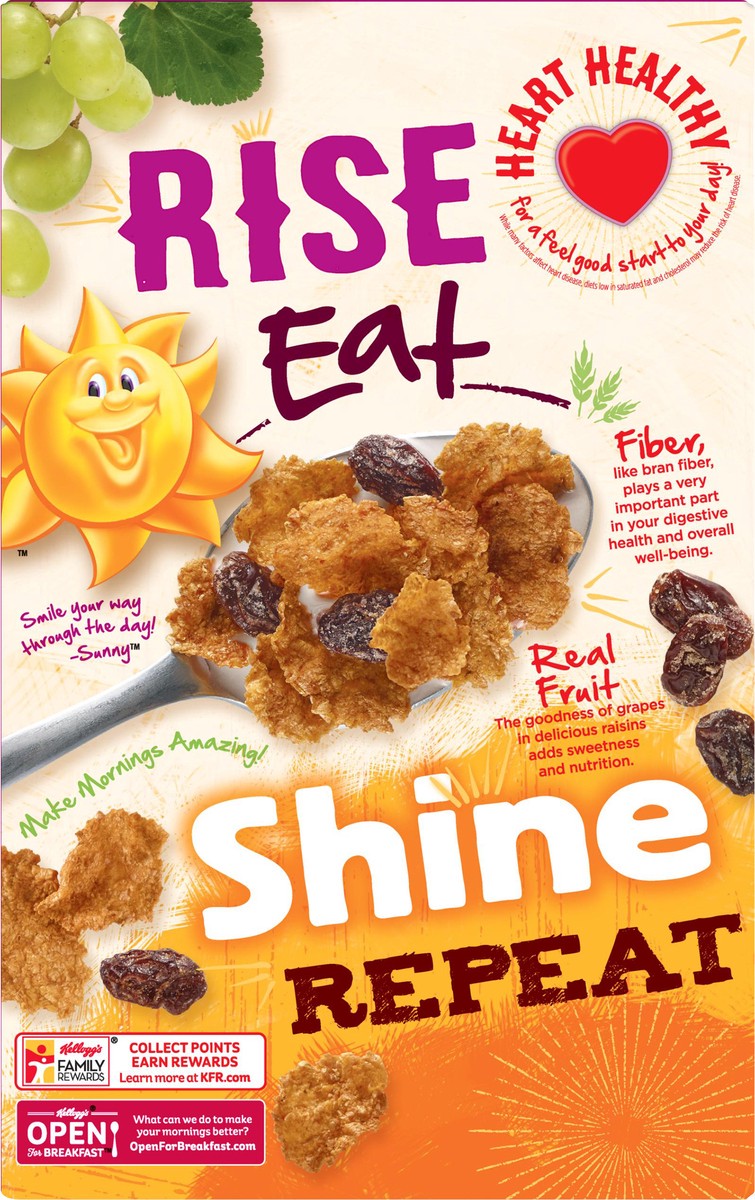 slide 2 of 10, Raisin Bran Breakfast Cereal Original Excellent Source of Fiber, 13.7 oz