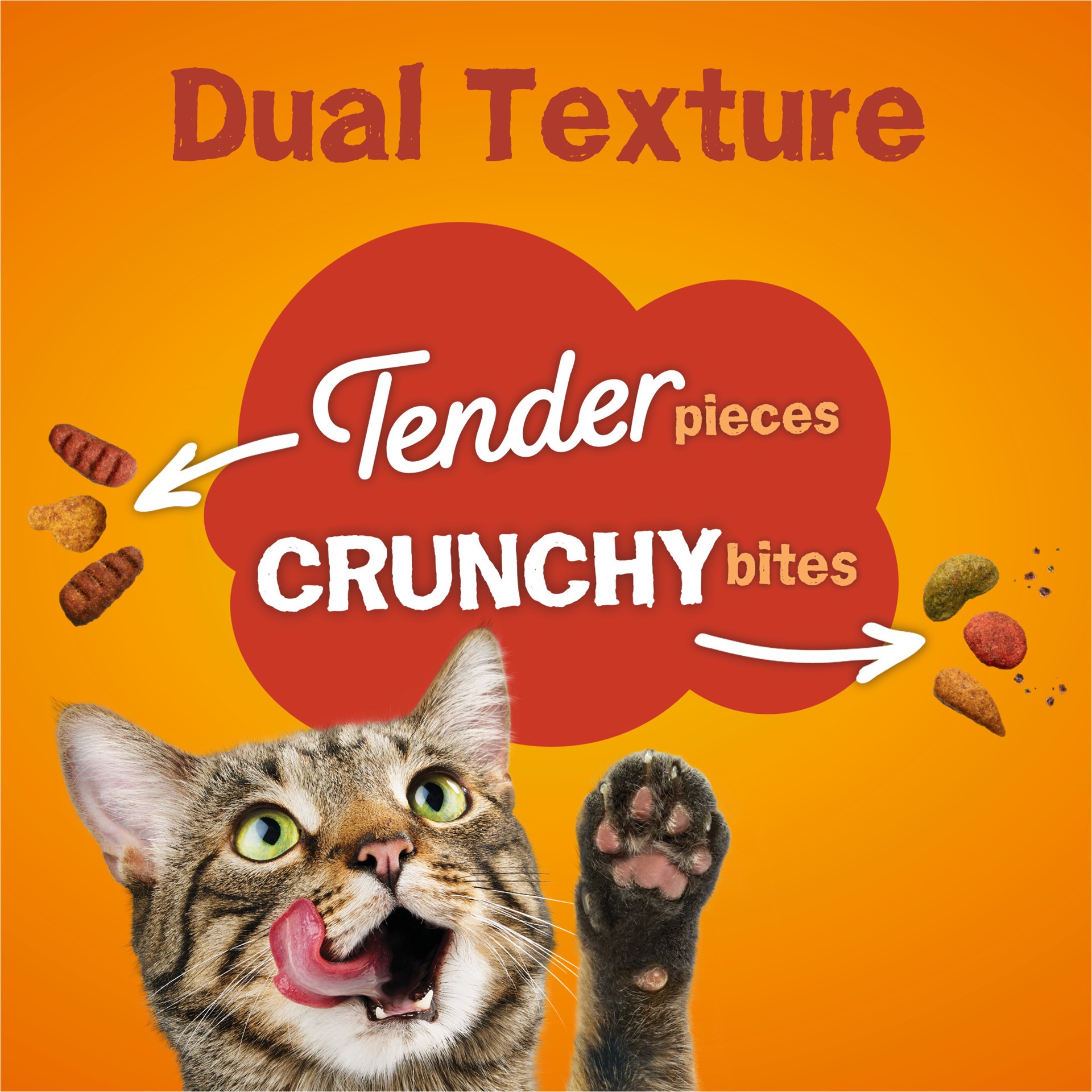 slide 6 of 9, Friskies Tender & Crunchy Combo Dry Cat Food, 16 lbs., 1 ct