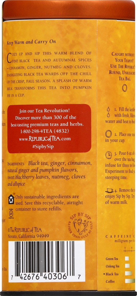 slide 5 of 9, The Republic of Tea Bags Pumpkin Spice Black Tea - 50 ct, 50 ct