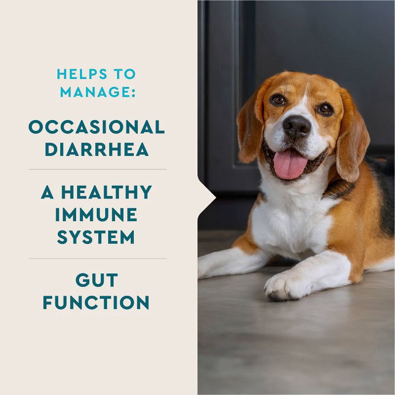 slide 7 of 8, VetIQ Unflavored Digestive Probiotic Dog Supplements - 30ct, 30 ct