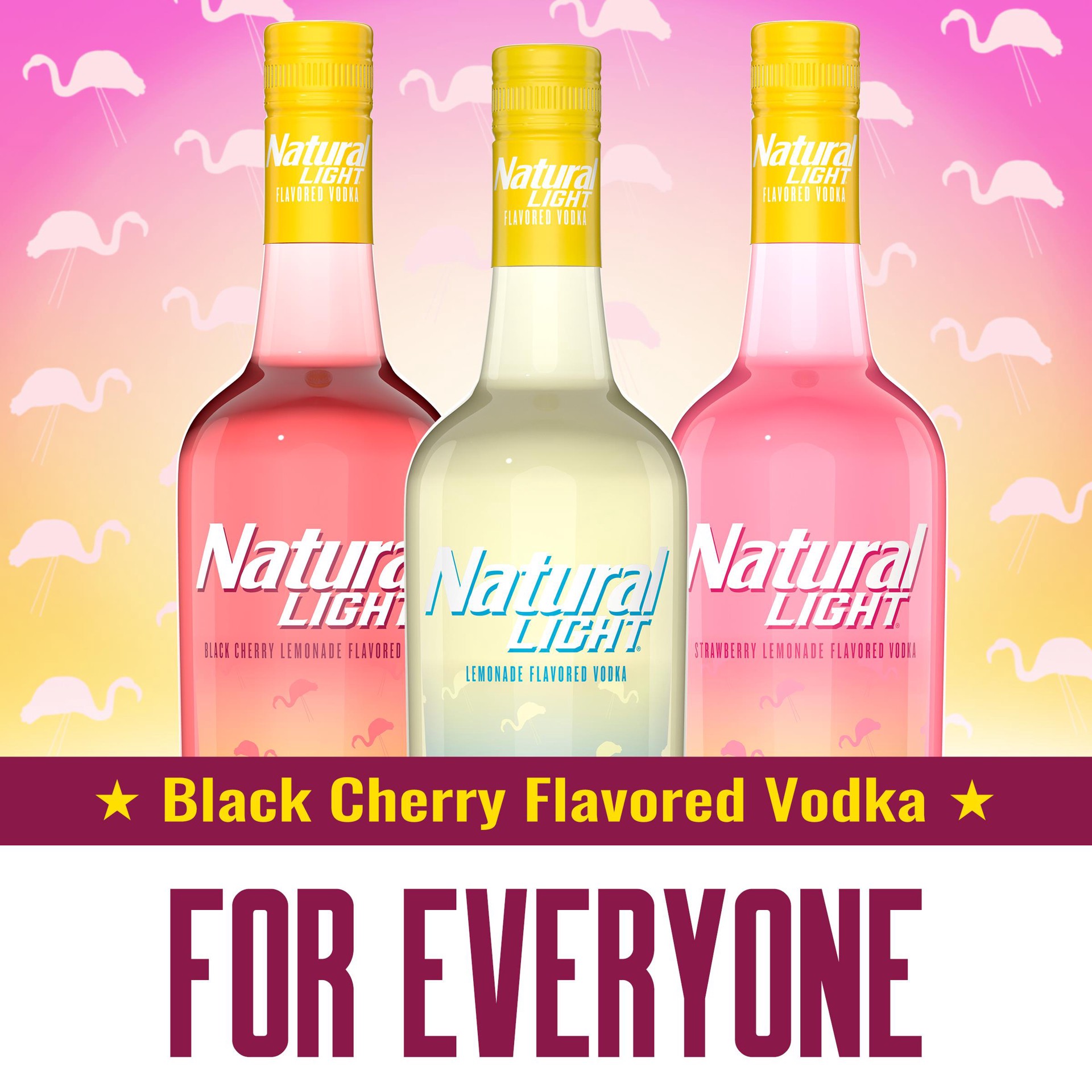 slide 3 of 7, Natural Light Vodka, Black Cherry Lemonade Flavored Vodka, 50 mL Bottle, 50 ml