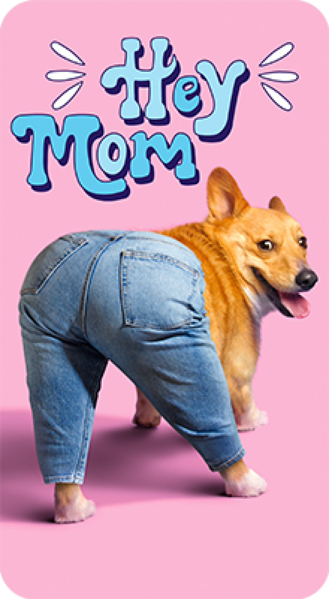 slide 1 of 1, Avanti Corgi Dog Mom Jeans, 1 ct