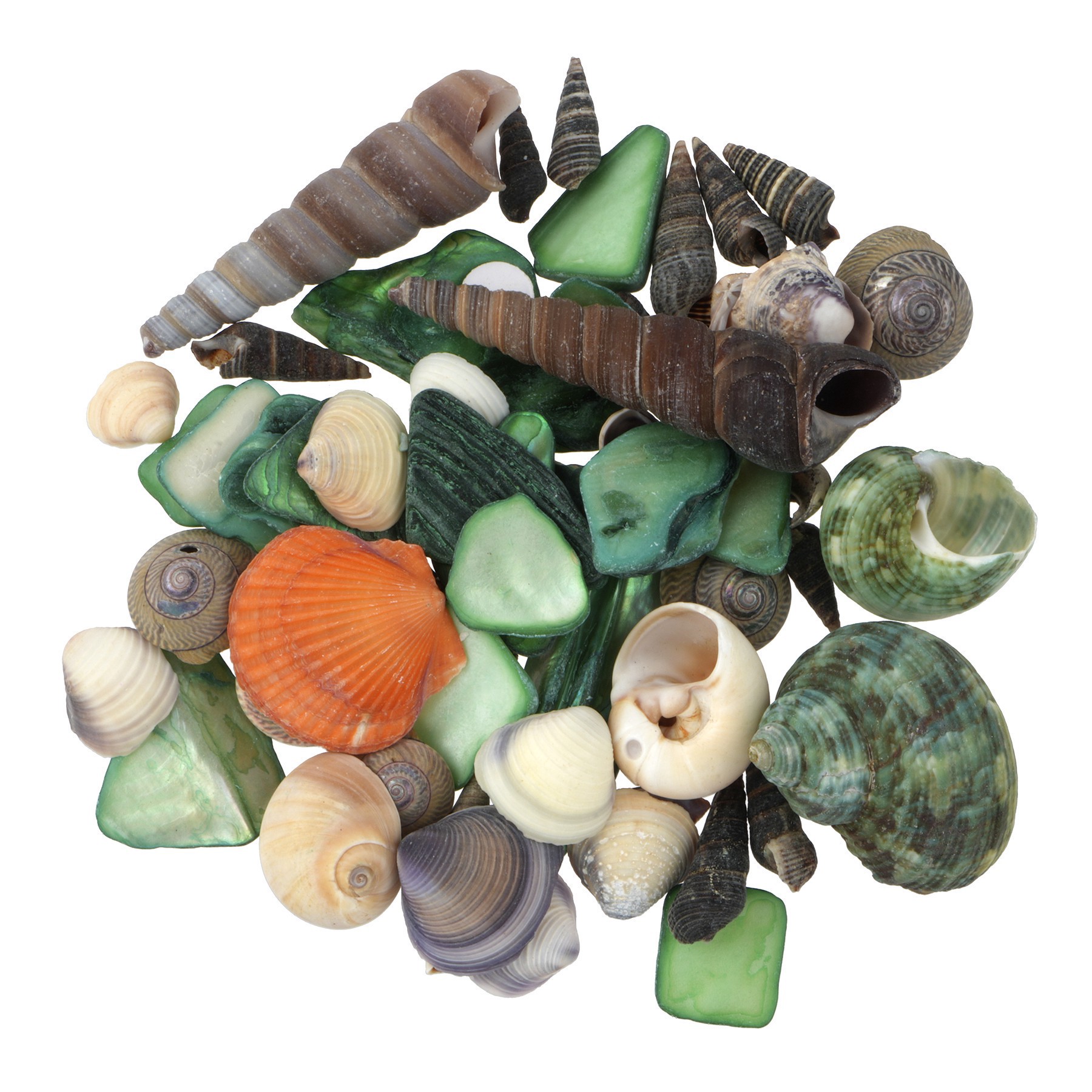 slide 2 of 3, 3.5oz. Dyed & Natural Shell Mix By Ashland, 3.5 oz