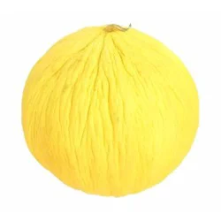 Casaba Melon