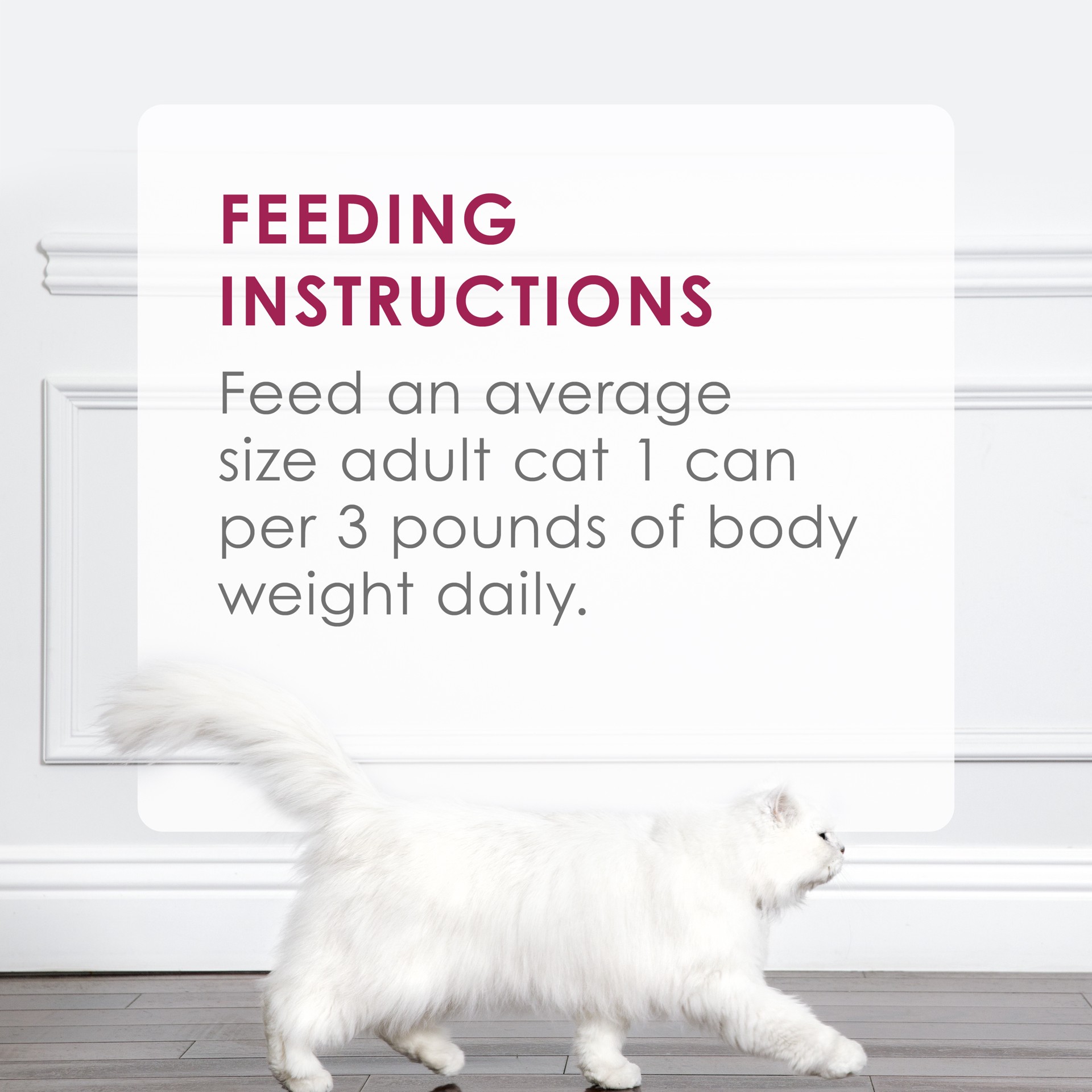 slide 4 of 8, Fancy Feast Purina Fancy Feast Sliced Chicken Feast Wet Cat Food in Gravy, 3 oz