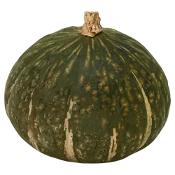 Kabocha Squash