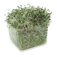 slide 1 of 1, Jonathan's Organic Alfalfa Sprouts, 4 oz