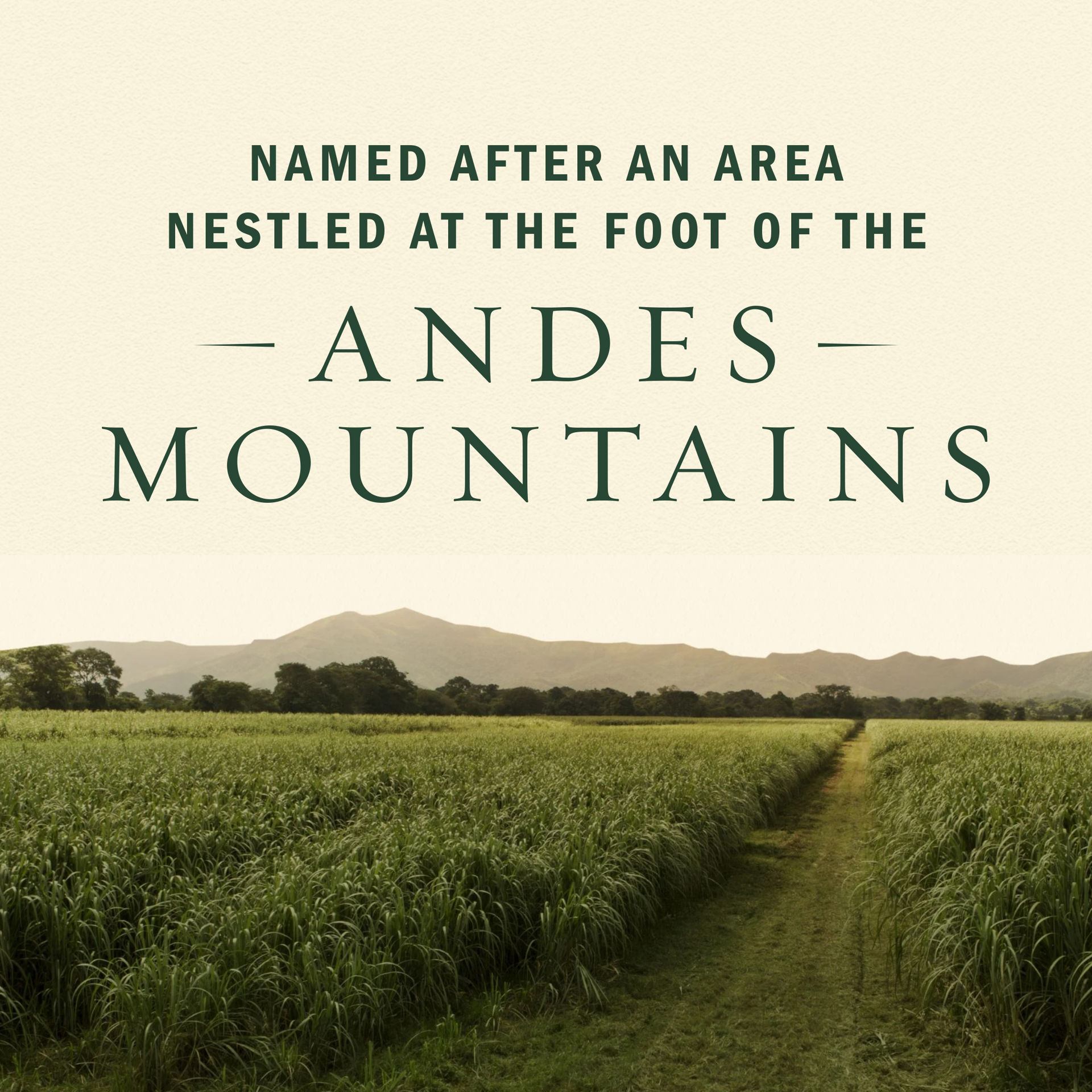 slide 8 of 9, Diplomático Reserva Exclusiva Rum, 750 mL, 80 Proof, 750 ml