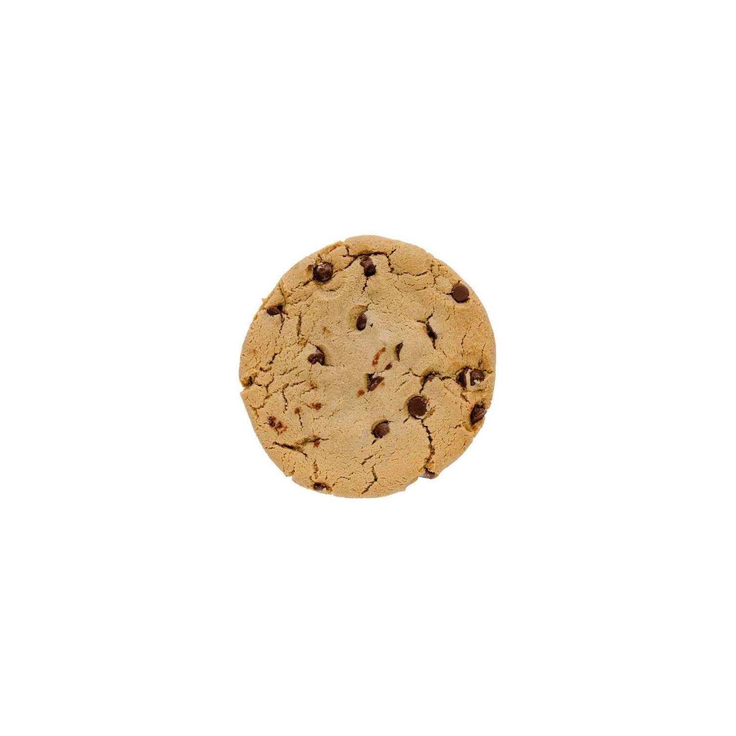 slide 1 of 1, Store Brand Chocolate Chip T-Rex Cookie, 1 ct