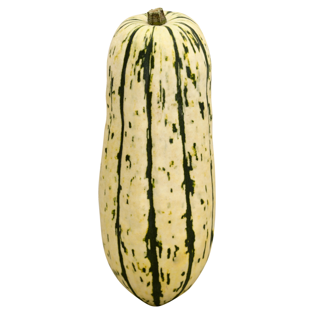 slide 1 of 1, Produce Squash 1 ea, 1 ct