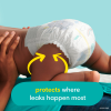 slide 28 of 29, Pampers Swaddlers Diapers, Size 7 (41+ lbs), 16 Count, Ultra Absorbent Disposable Infant Diaper, 16 ct