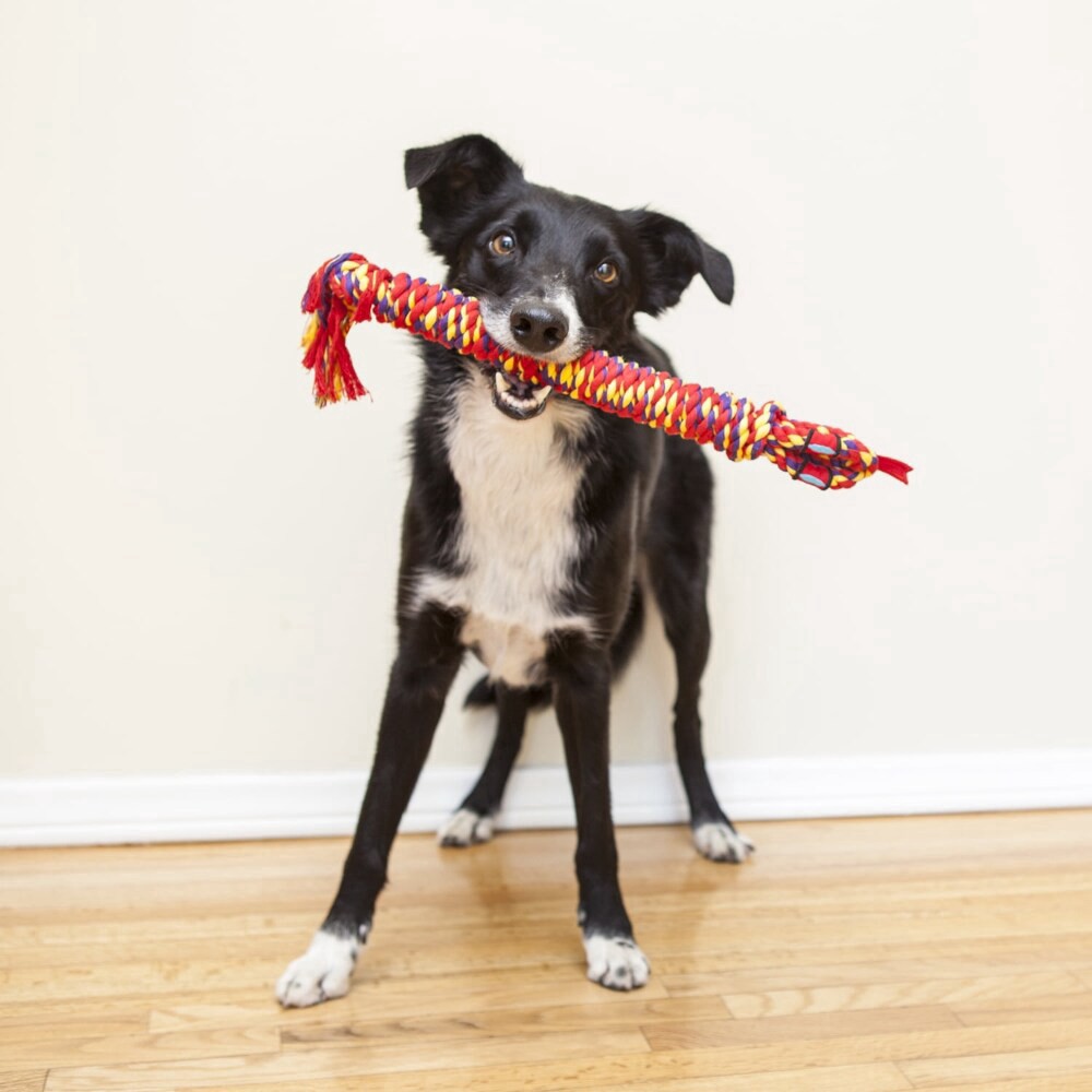 slide 3 of 4, Mammoth Pet Products Mammoth® Pet Products Snakebiter Shorty Dog Toy - Multicolor, 1 ct