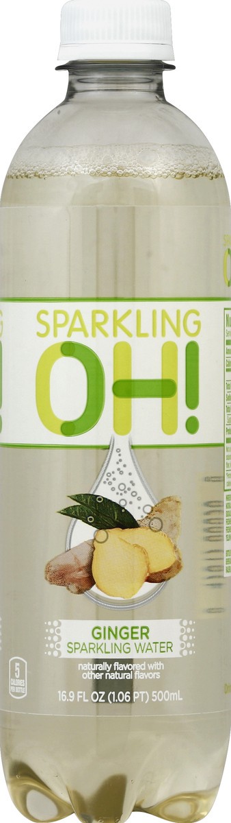 slide 2 of 4, Sparkling OH Sparkling Water 16.9 oz, 16.9 fl oz