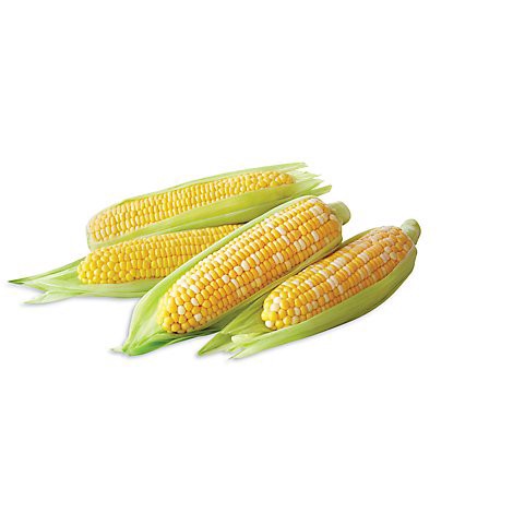 slide 1 of 1, Bi-Color Corn, 4 ct