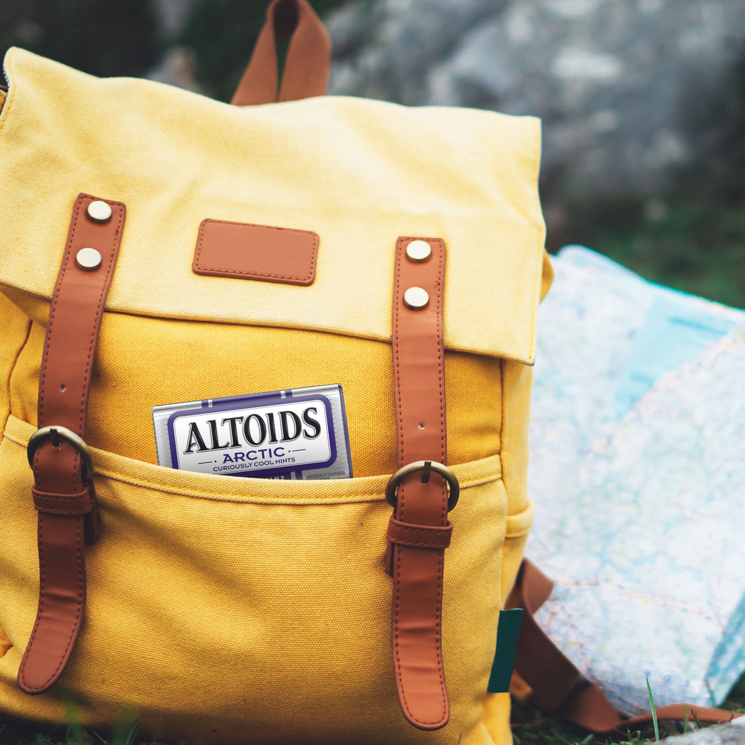 slide 3 of 8, ALTOIDS Peppermint Sugar Free Breath Mints, 1.76 oz (Pack of 2), 2 ct