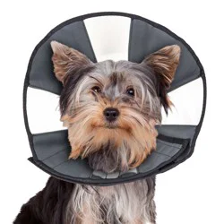 Zen Pet ZenCone Soft Recovery Collar for Dogs, Small