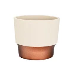 The Hc Companies Sprite Succulent Pot - Vanilla Bisque