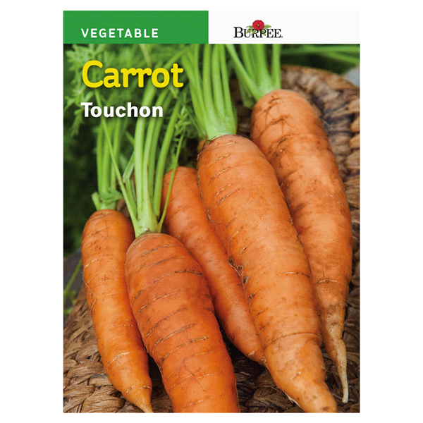 slide 1 of 1, Burpee Carrot Touchon Heirloom Seeds, 1 ct