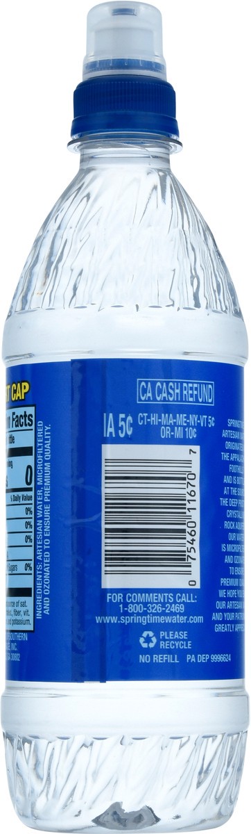 slide 3 of 12, Springtime Artesian Sodium Free Water - 20 fl oz, 20 fl oz