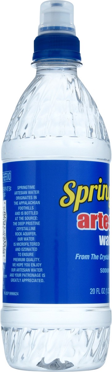 slide 12 of 12, Springtime Artesian Sodium Free Water - 20 fl oz, 20 fl oz