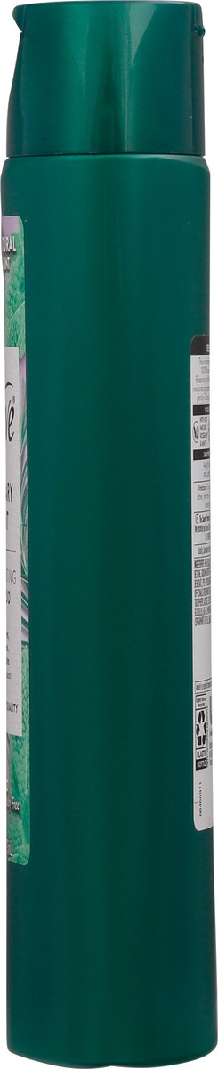 slide 4 of 11, Suave Shampoo Rosemary and Mint, 12.6 oz, 12.6 fl oz