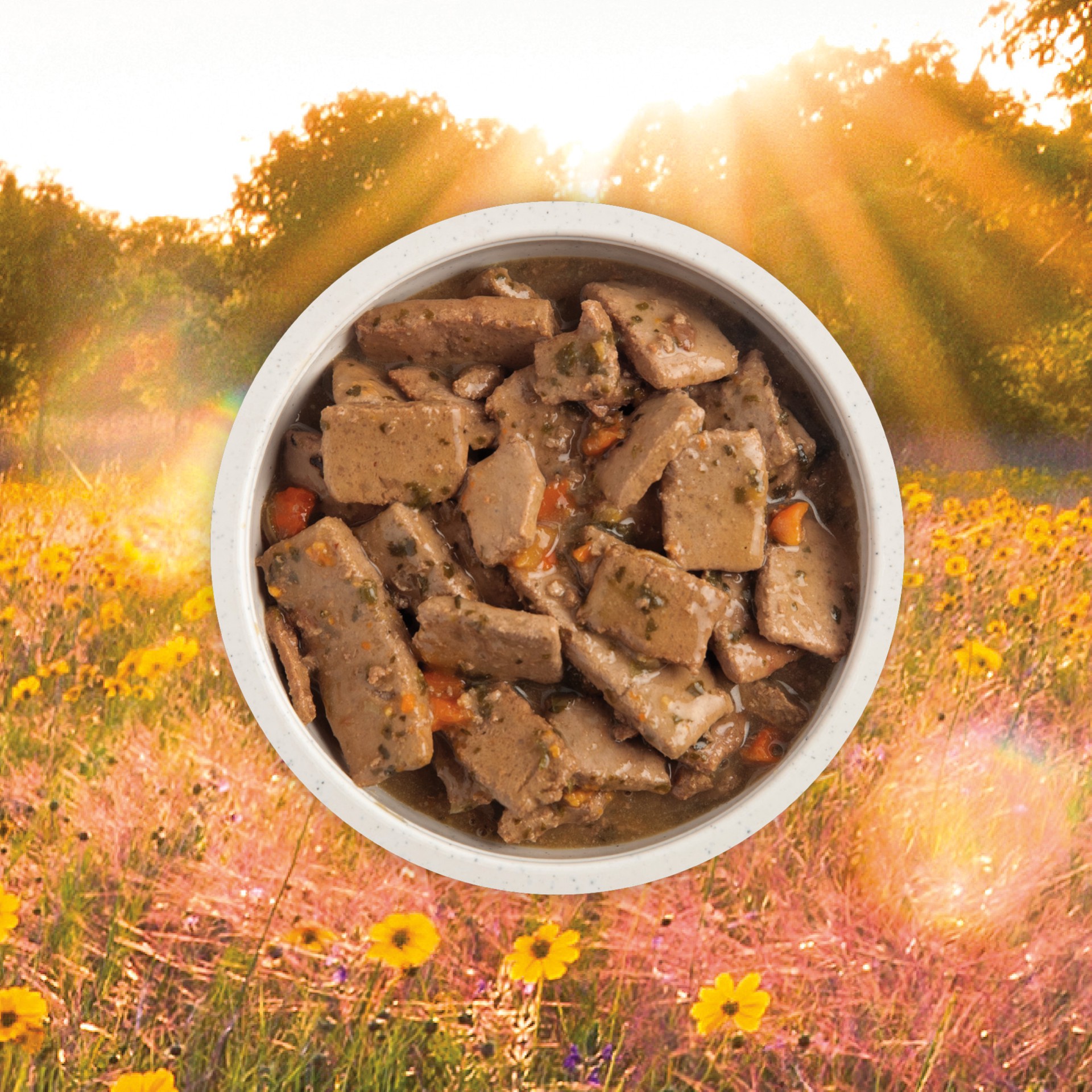 slide 3 of 5, ACANA Premium Chunks Wet Dog Food Beef Recipe in Bone Broth, 12.8oz, case of 12 cans, 12.8 oz