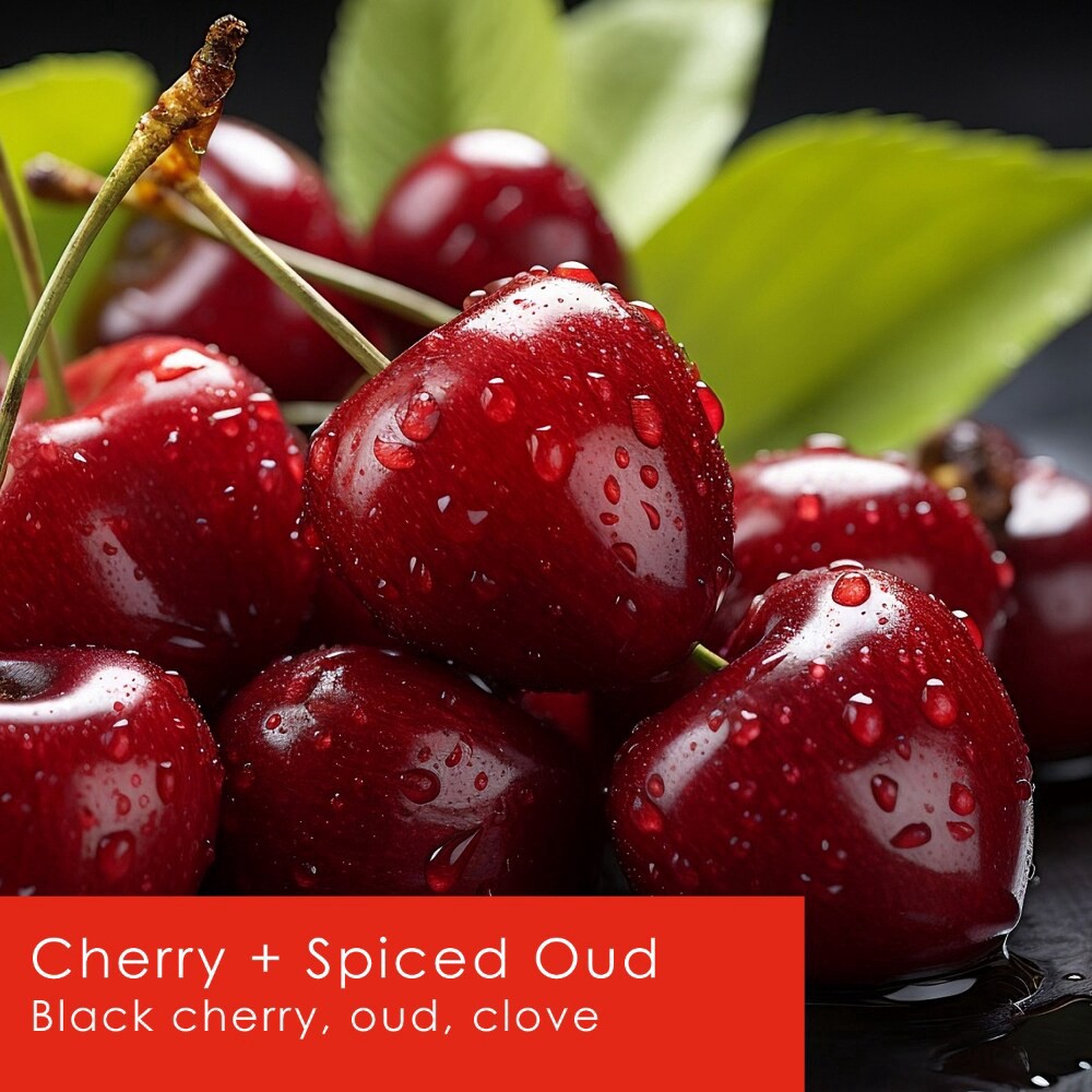 slide 3 of 4, Tuscany Scented Jar Candle Cherry & Spiced Oud, 12 oz