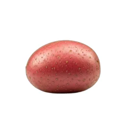 Fresh Red Potatoes