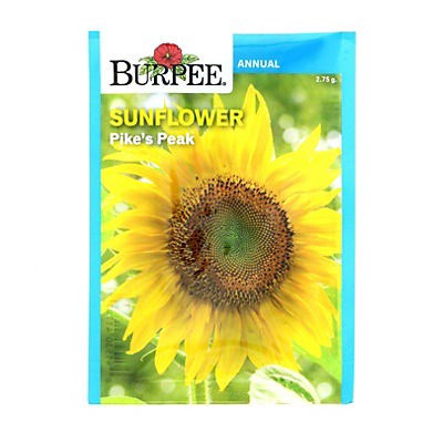 slide 1 of 1, Burpee Sunflower, Pikes Peak, 1 ct