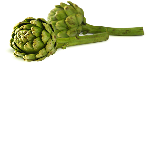 slide 1 of 1, Ocean Mist Artichokes Long Stem, 14 ct